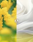 Scentscape Mimosa & White Musk Incense Sticks