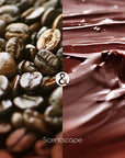 Scentscape Coffee & Chocolate Incense Sticks
