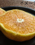 Banko-ware Grilled Mandarin Pot