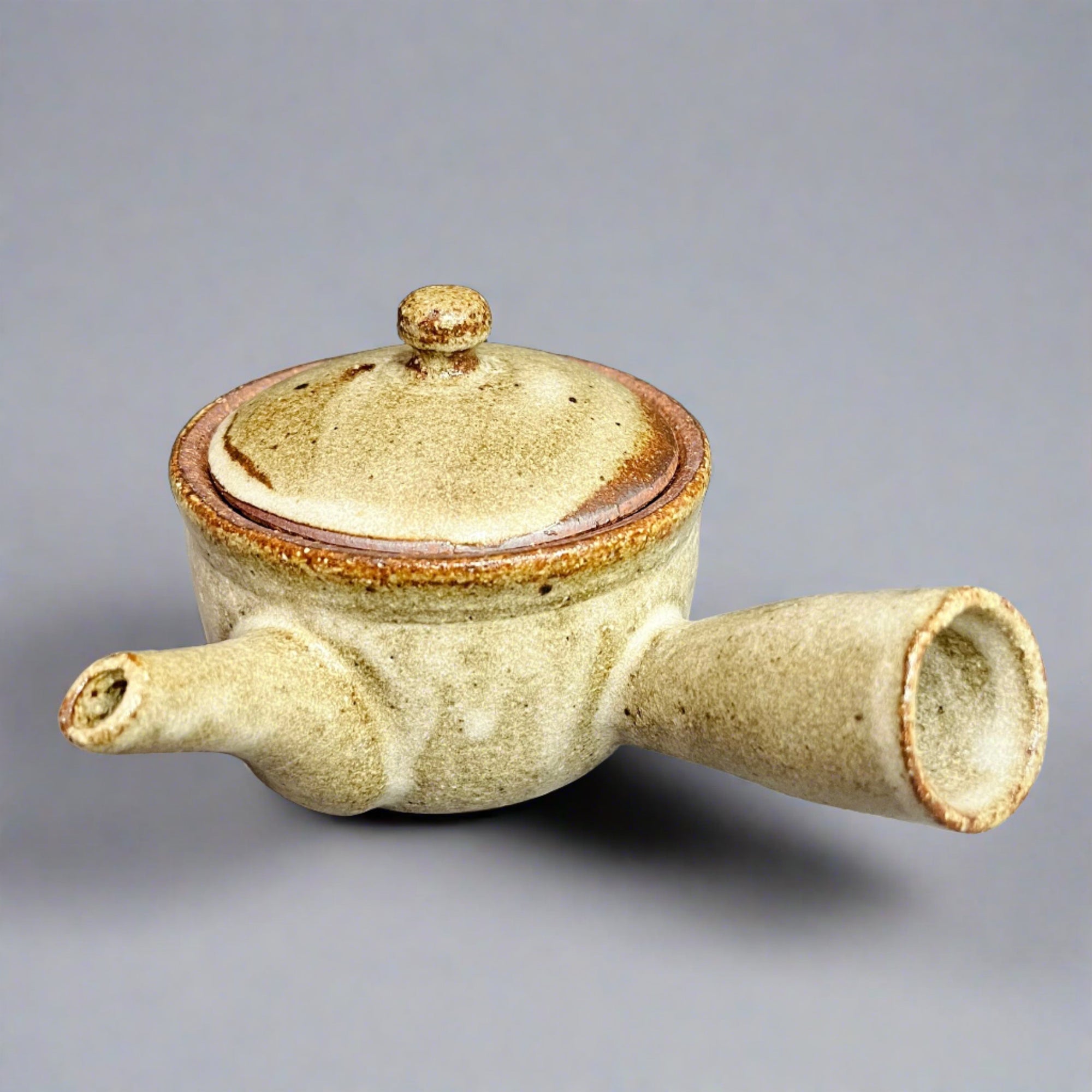 Shigaraki Kiln Transfer Teapot