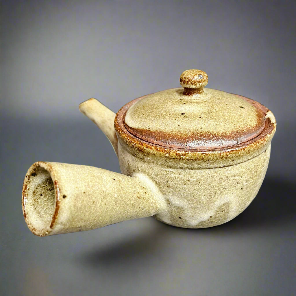 Shigaraki Kiln Transfer Teapot