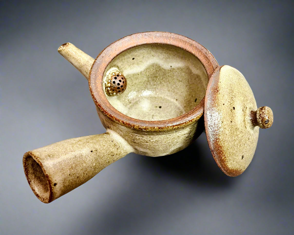Shigaraki Kiln Transfer Teapot