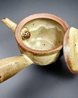 Shigaraki Kiln Transfer Teapot