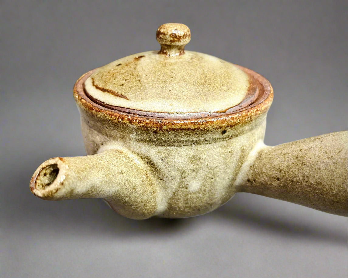 Shigaraki Kiln Transfer Teapot