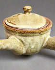 Shigaraki Kiln Transfer Teapot