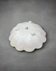 Tojiki Tonya Kikka Rinka Legged Small Plate