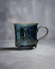 Asahido Silver Flower Tenmoku 銀耀天目 Mug by Hashimoto