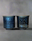 Asahido Silver Flower Tenmoku 銀耀天目 Mug by Hashimoto