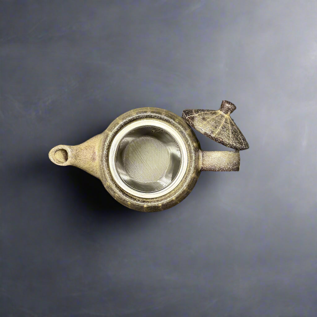 Iga-ware Rusty Tokusa Teapot