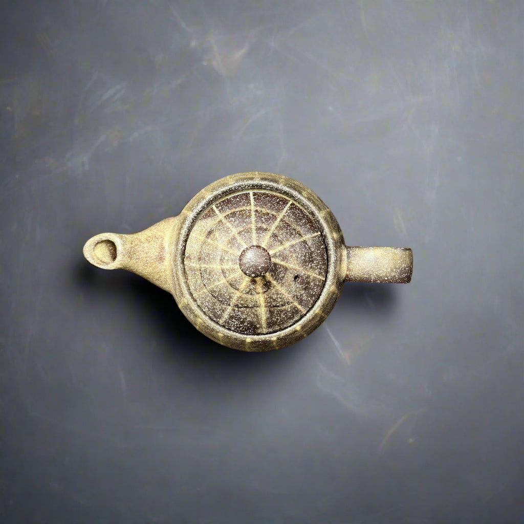 Iga-ware Rusty Tokusa Teapot