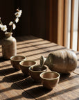 Mino-ware Moss Clay Sake Set