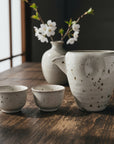 Mino-ware Handcrafted Kohiki Cold Sake Set