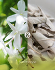 Scentscape Jasmin & White Sage Incense Sticks