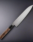 Sakai Takayuki Ginga ZA-18 Damascus Gyuto 210/240mm