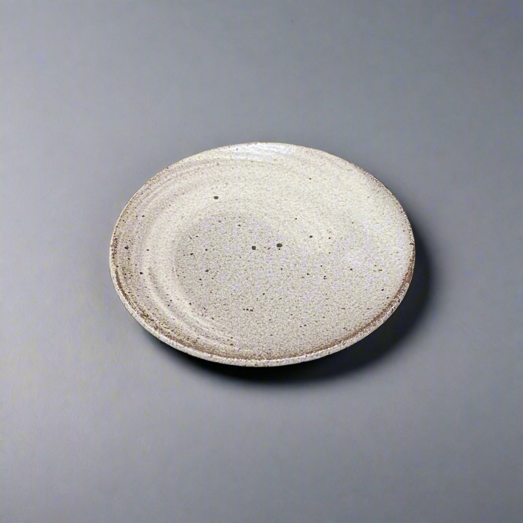 Shigaraki Ash Brush Coffee Cup and Saucer