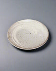 Shigaraki Ash Brush Coffee Cup and Saucer
