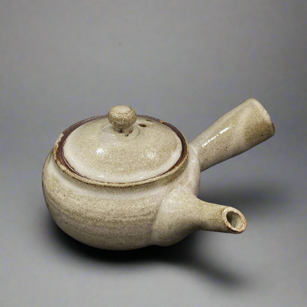 Shigaraki Kiln Transfer Shallow Teapot