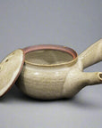 Shigaraki Kiln Transfer Shallow Teapot
