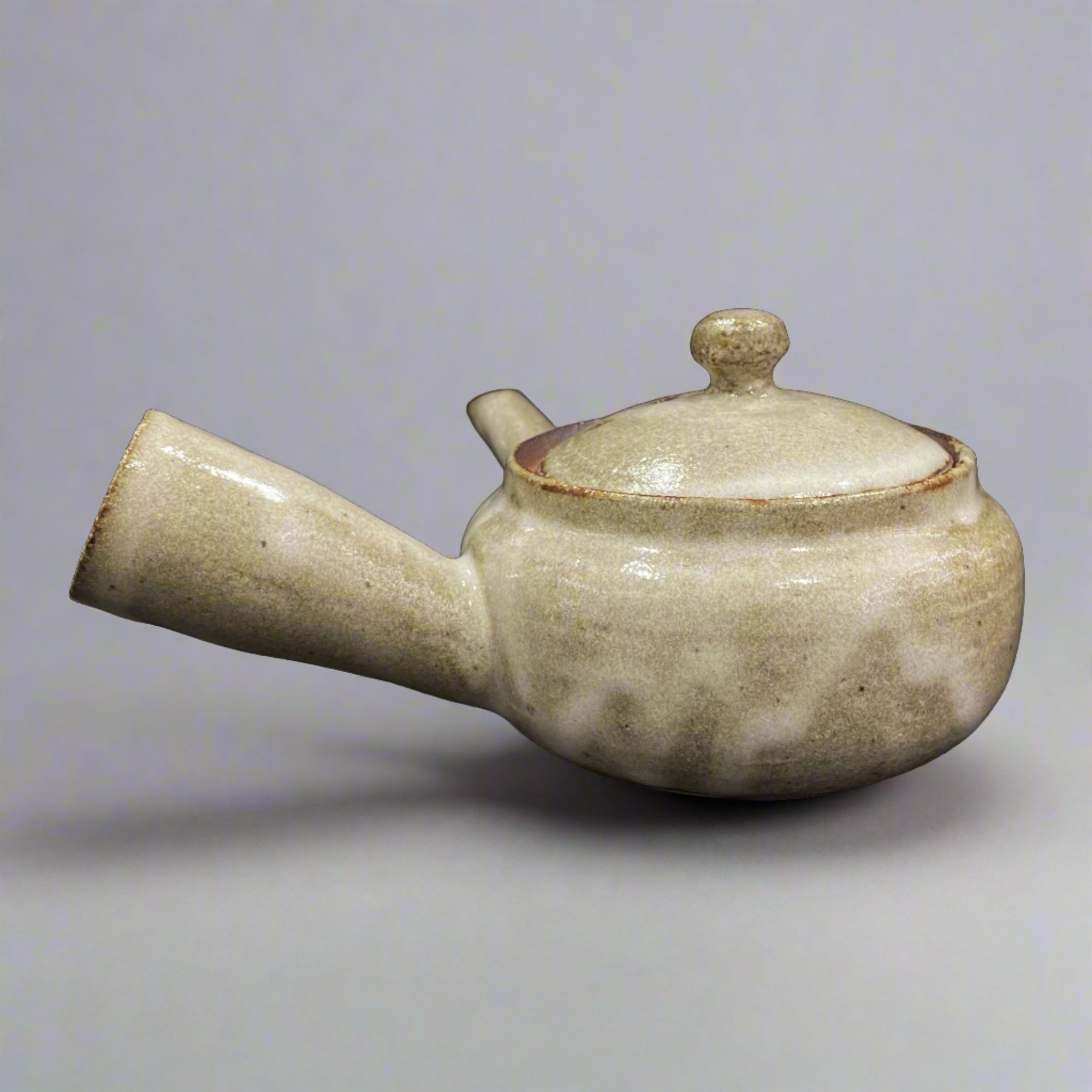 Shigaraki Kiln Transfer Shallow Teapot