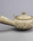 Shigaraki Kiln Transfer Shallow Teapot