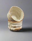 Ichiyama Rustic Handcrafted Sake Set