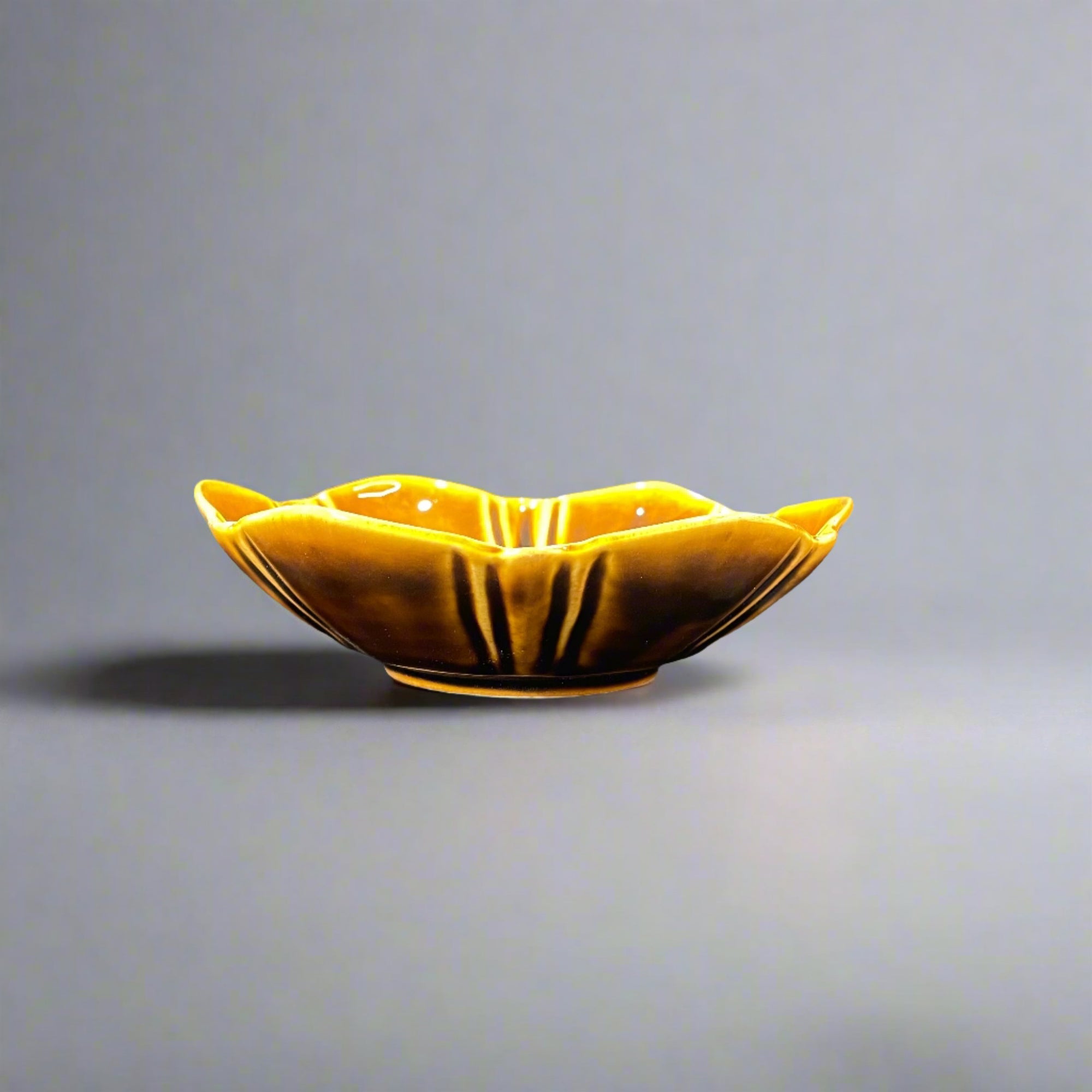 Ichiyama Amber Glaze Deep Plate
