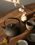 Ikenaga Nambu Ironware Cast Iron Kettle Hoju 600ml