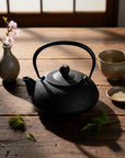 Ikenaga Nambu Ironware Cast Iron Kettle Hoju 600ml