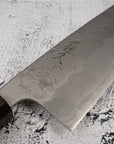 Tsunehisa Ginsan Nashiji Santoku 165mm Ebony Handle