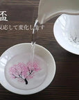 Shun Cherry Blossom Color Changing Sake Cup