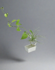 Nousaku Tin Flower Vase - Lasso Kaku