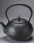 IKENAGA Nambu Cast Iron Kettle Doraemon 1200ml