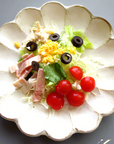 Tojiki Tonya Kikka Rinka Plate 21cm