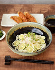 Tenmoku White Drip Noodle Bowl
