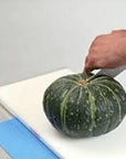 Hasegawa Anti-Bacterial Non-slip Mat
