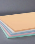 Hasegawa Anti-Bacterial Soft Cutting Mat