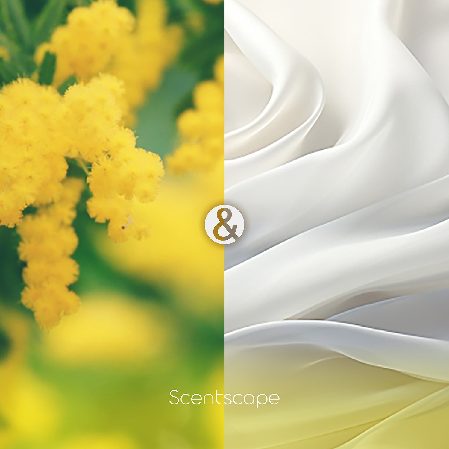Scentscape Mimosa &amp; White Musk Incense Sticks