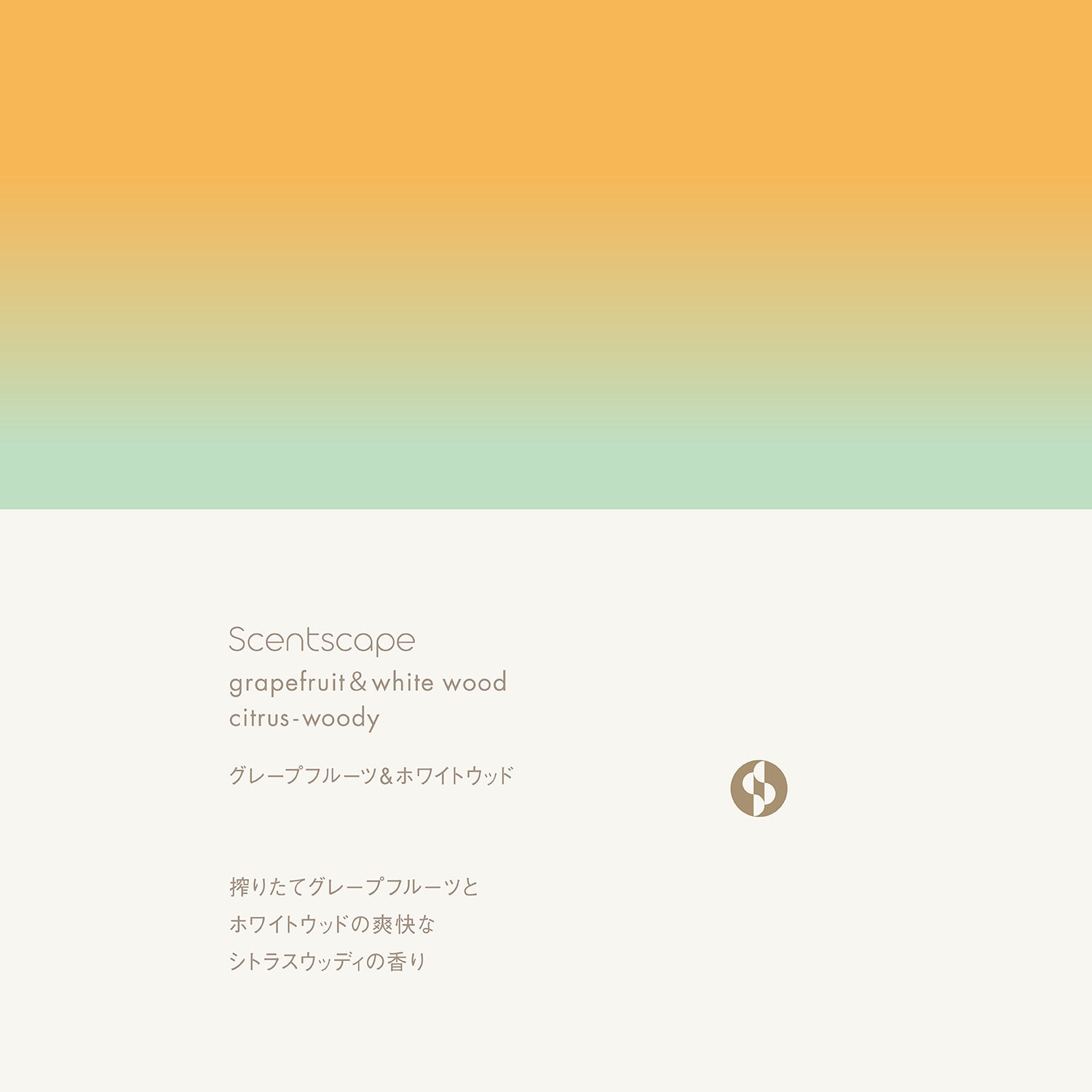 Scentscape Grapefruit &amp; White Wood Incense Sticks