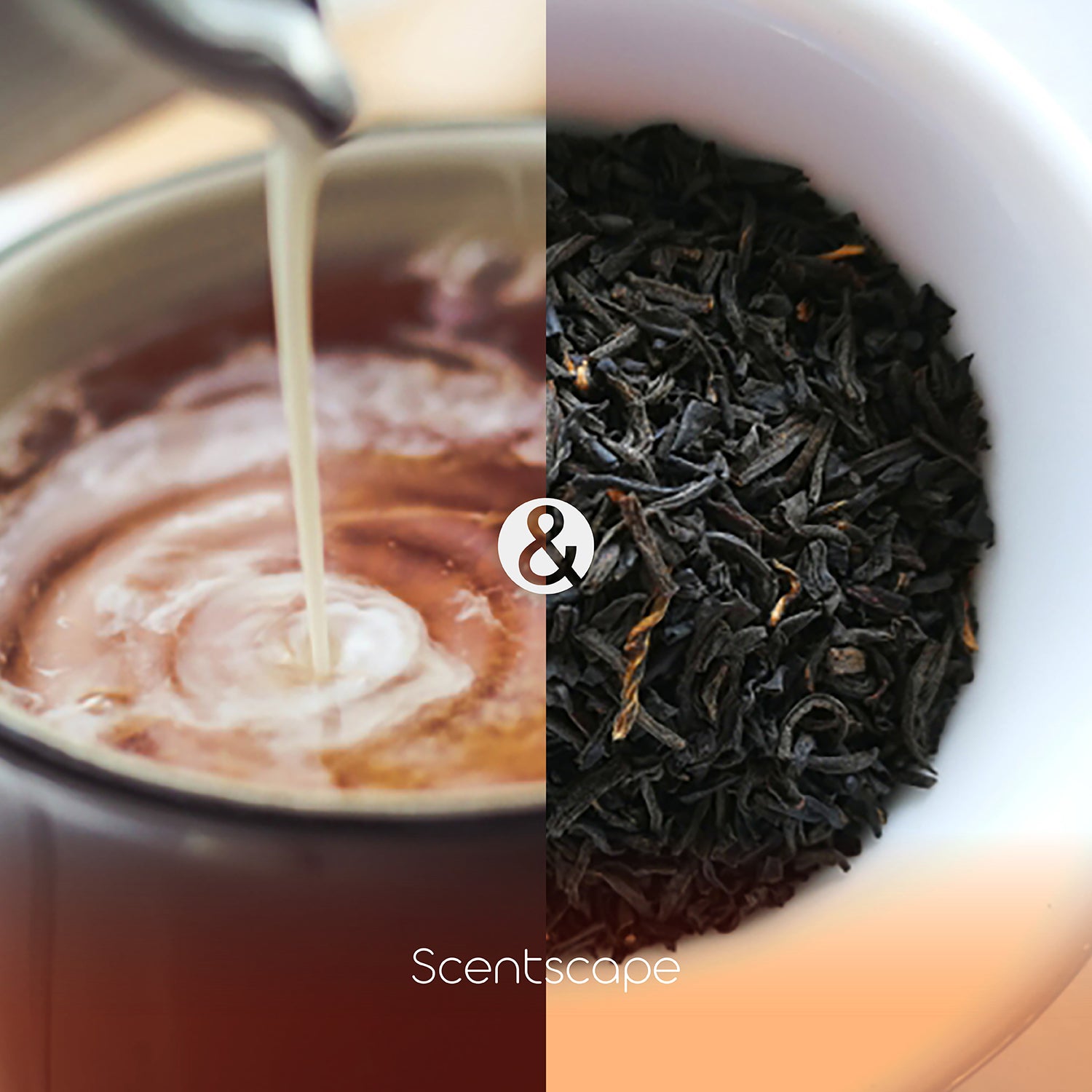 Scentscape Black Tea and Milk Incense Sticks