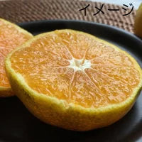 Banko-ware Grilled Mandarin Pot