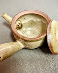 Shigaraki Kiln Transfer Teapot