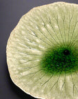 Shigaraki Lotus Leaf Three-Legged Large Plate