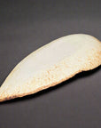 Shigaraki Yam Leaf Large Plate