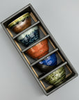 Mino-ware Five Glazes Sake Cup Set (5pcs)