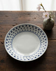 Curry and Pasta Plate Set of 4