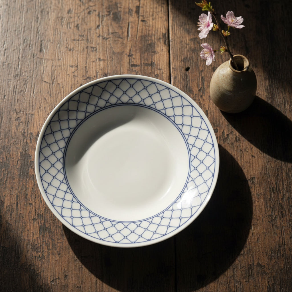Curry and Pasta Plate Set of 4