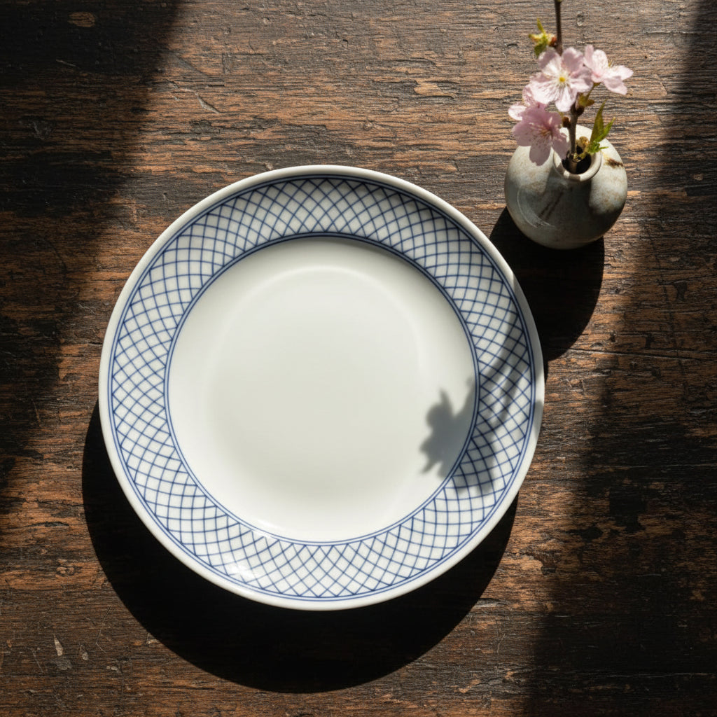 Curry and Pasta Plate Set of 4