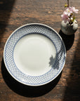 Curry and Pasta Plate Set of 4