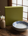Curry and Pasta Plate Set of 4