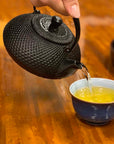 IKENAGA Nambu Cast Iron Teapot 600ml